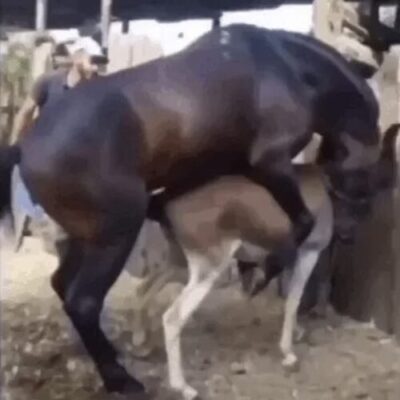 男生丁丁的类型大全(图3)